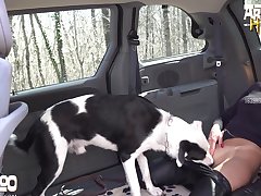 Hi Honey How Was Your First Day At The Kennel