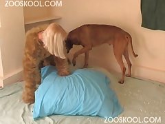Alexa Rovento Fuck Dog