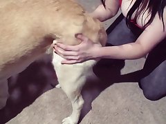 Dog Fuck Hidden Cam
