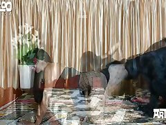 Dog Fuck Girl Movie