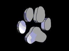 Teen Fuck Dog Cock