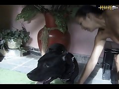 Teen Animal Sex Porn