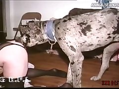 Hot Anime Animal Porn