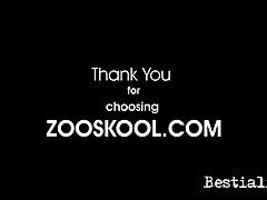 Hd Animal With Girl Porn