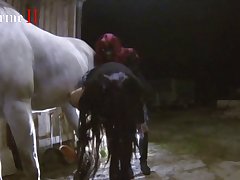 Best Animal Porn Free Website