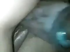 Animal 2023 Porn