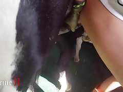 View Free Animal Porn Video