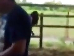 Animal Porn Bideo
