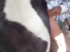 Porn With Animal Video