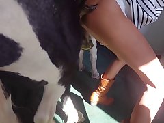 Porn With Animal Video