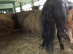 Animal Porn Onlyfans