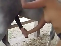 Porn Videos Animal With Girl