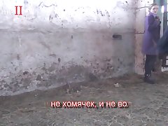 Animal Anal Porn Videos