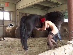 Desi Animal Sex Porn