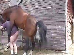 Animal Pain Porn