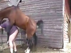 Animal Pain Porn