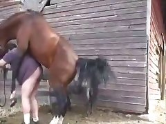 Animal Pain Porn