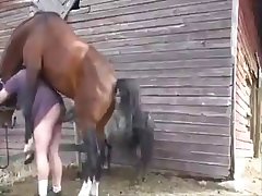Animal Pain Porn