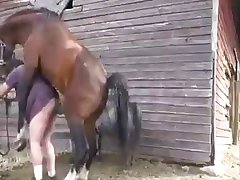 Animal Pain Porn