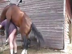 Animal Pain Porn