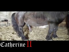 Animal Porn Teligram