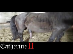Animal Porn Teligram