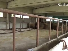 Porn Scene Of Animal