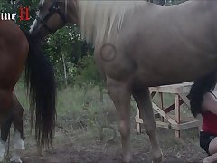 Porn Animal Transformation