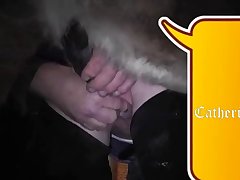Animal Porn Sex Video.com
