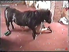 Forced Animal Porn Videos