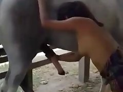 Animal Gey Porn