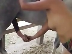 Animal Gey Porn