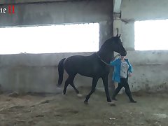 Man Fucking Animal Pussy Porn