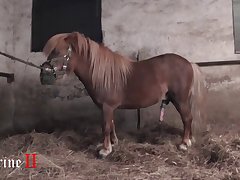 Animal With Girl Porn Videos