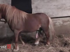 Animal With Girl Porn Videos