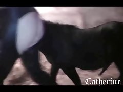 Animal Porn Beauty