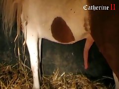 Porn Star With Animal