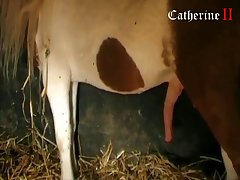 Porn Star With Animal