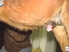 Animal Woman Porn
