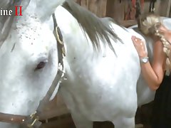 Animal Porn New Hd