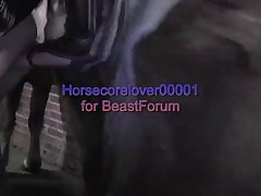 Porn Animal Animations