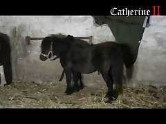 Man Fucking Female Animal Porn