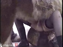 Animal Piss Drink Porn