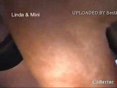 Animal Porn Videos Site