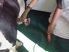 Woman Breastfeed Animal Porn