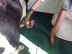 Woman Breastfeed Animal Porn