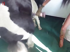 Woman Breastfeed Animal Porn