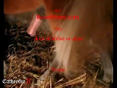 Animal Porn Teen