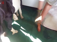 Woman Breastfeed Animal Porn