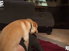 Animal Porn Big Boobs